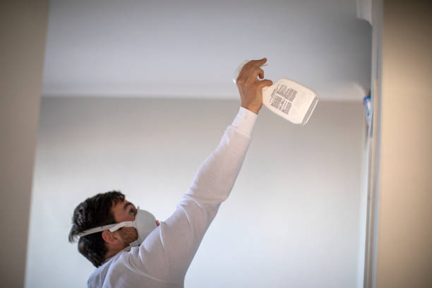 Best Basement Mold Remediation in Fox Island, WA