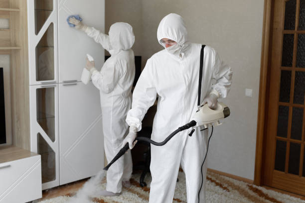 Best Basement Mold Remediation in Fox Island, WA